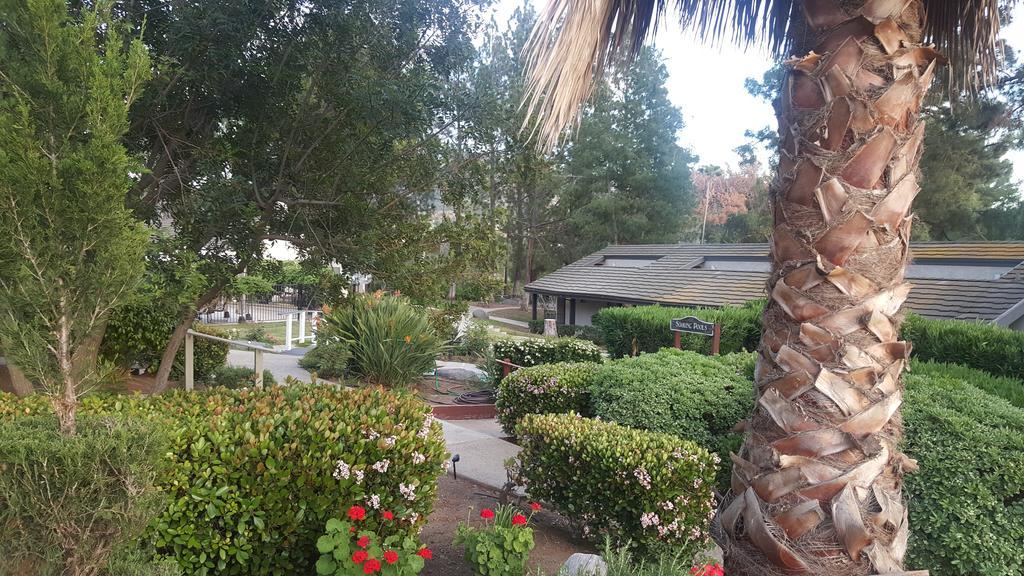 Tuscany Hills Retreat إسكونديدو المظهر الخارجي الصورة